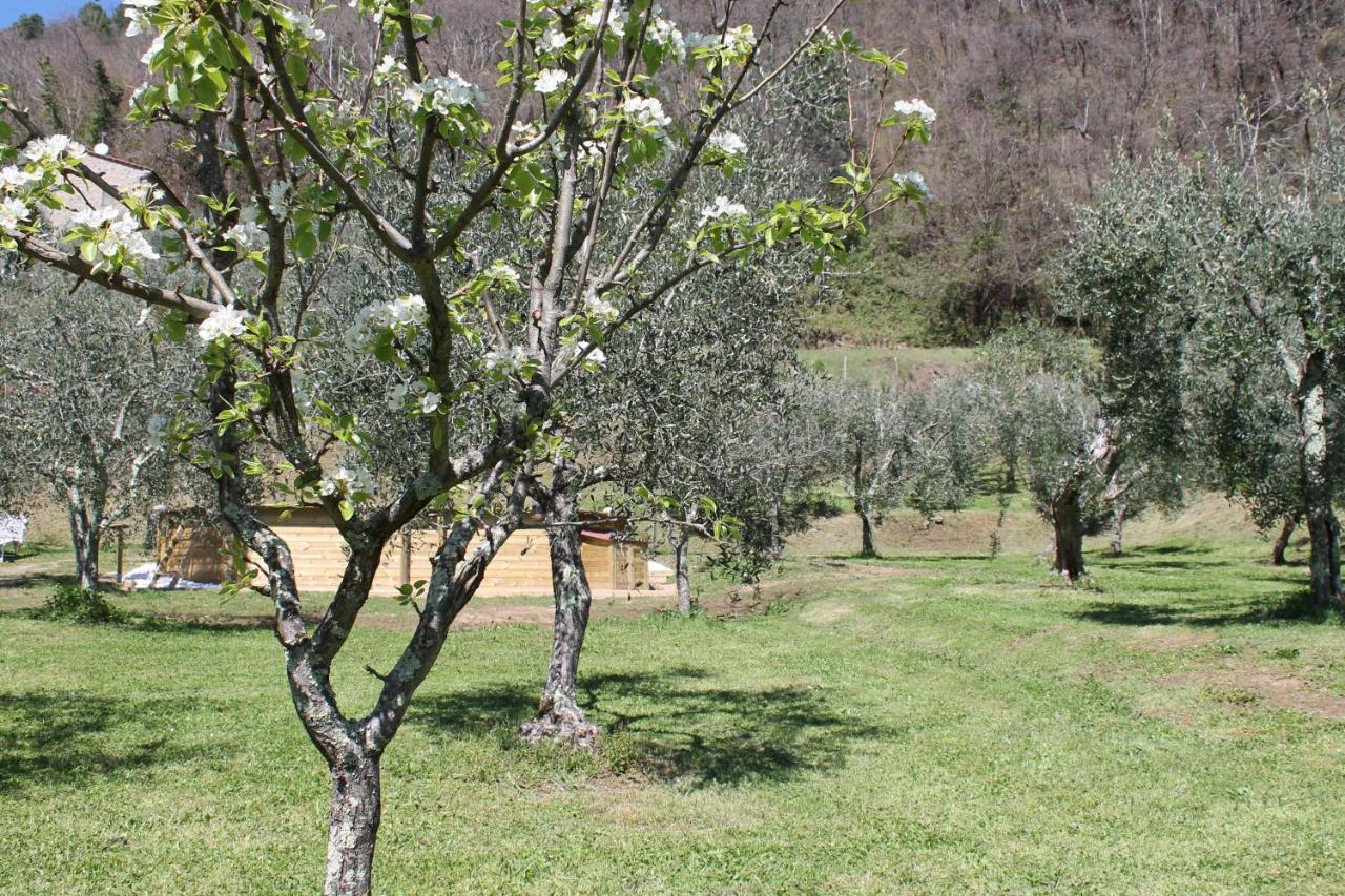 Shaleo Holiday Home Marliana Exterior foto