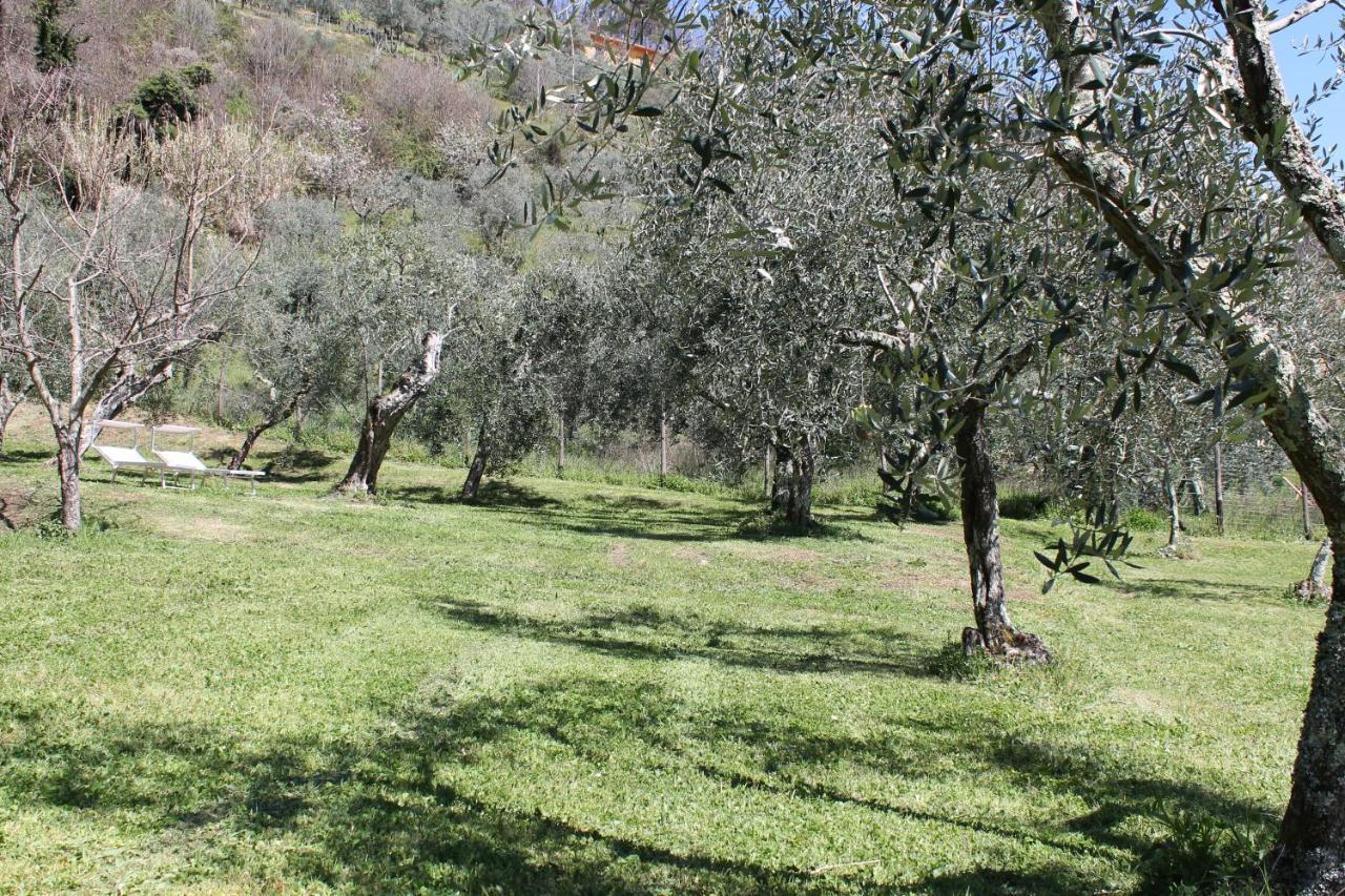 Shaleo Holiday Home Marliana Exterior foto