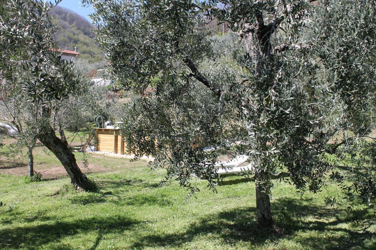 Shaleo Holiday Home Marliana Exterior foto
